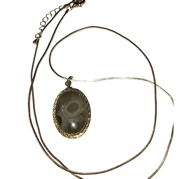 Vtg Petoskey Stone Gold Plated Pendant Necklace - Picture 3 of 4